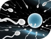 conceive-05-12